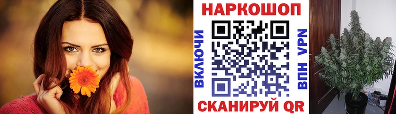Наркота Черепаново ГАШ  Марихуана  СОЛЬ  Меф  Амфетамин  Псилоцибиновые грибы  КОКАИН 