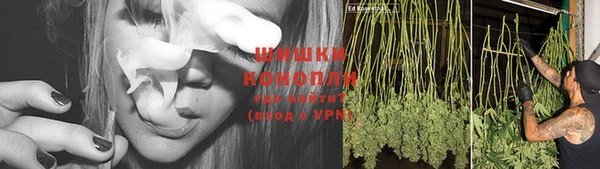 тгк Верея