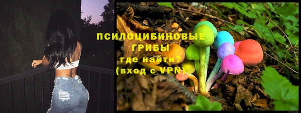 тгк Верея